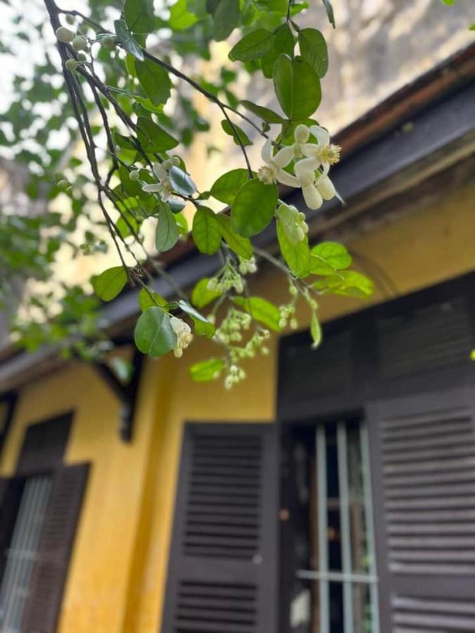 Ciel Homestay Hue Εξωτερικό φωτογραφία