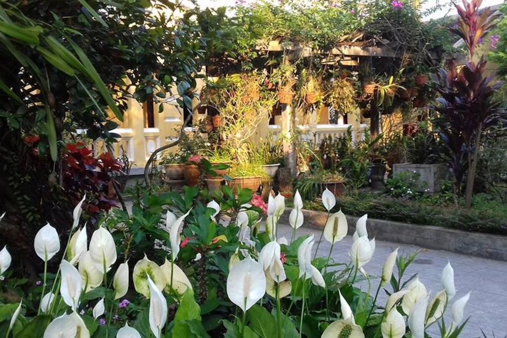 Ciel Homestay Hue Εξωτερικό φωτογραφία