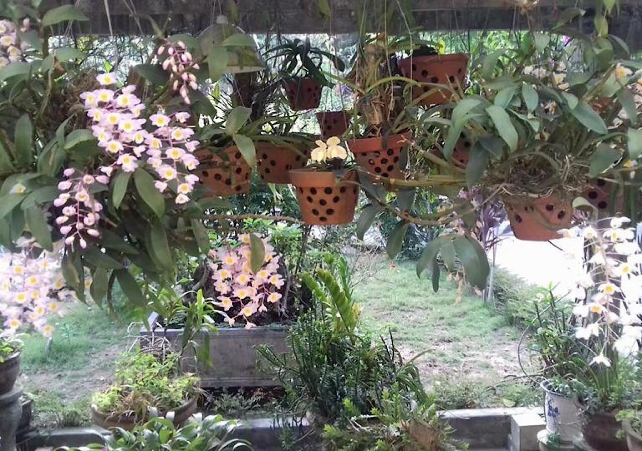 Ciel Homestay Hue Εξωτερικό φωτογραφία