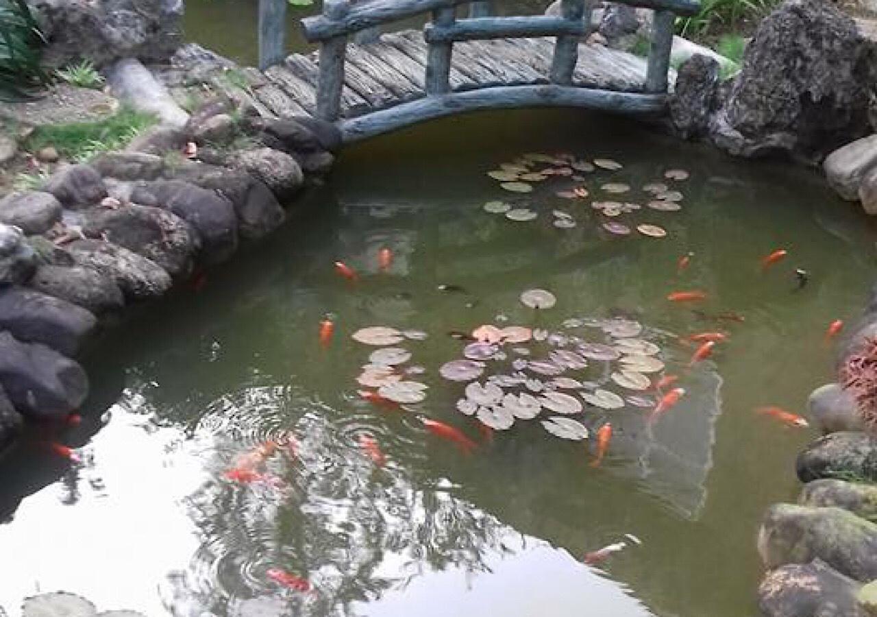 Ciel Homestay Hue Εξωτερικό φωτογραφία